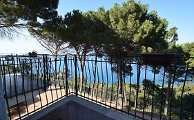 Alba Tra I Pini B&B